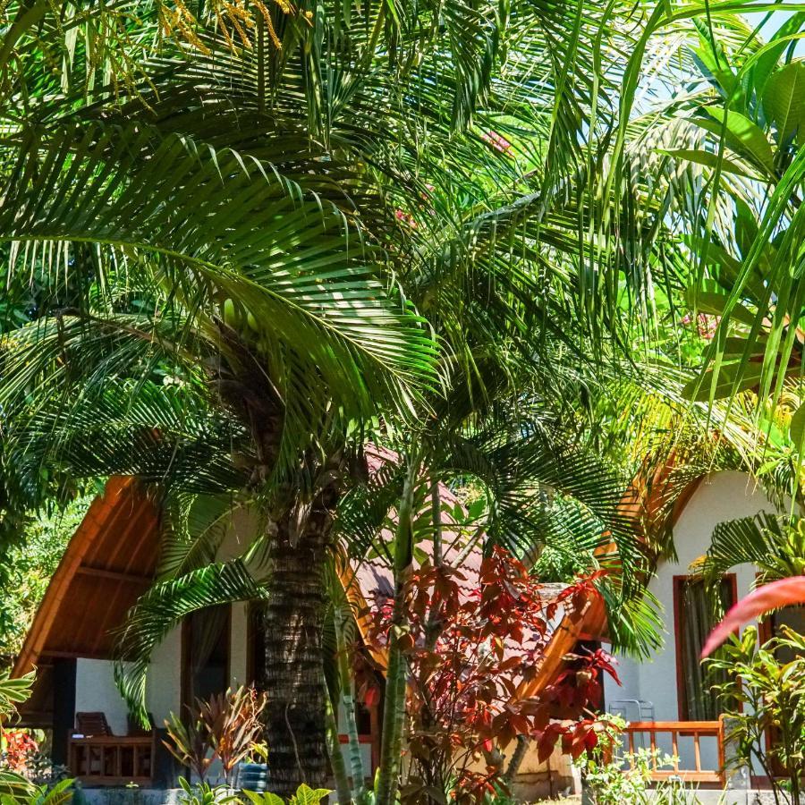 Готель Florine'S Garden Гілі-Аїр Екстер'єр фото